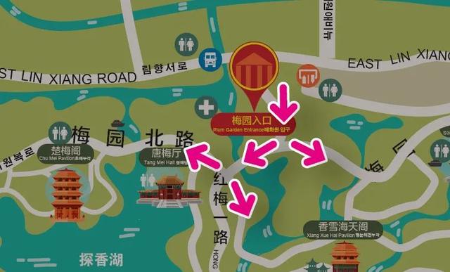 海湾国家森林公园赏梅攻略——游玩路线篇(图15) 海湾国家森林公园赏梅攻略——游玩路线篇