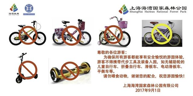 海湾国家森林公园赏梅攻略——游玩路线篇(图20) 海湾国家森林公园赏梅攻略——游玩路线篇