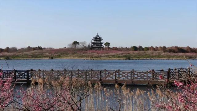 海湾国家森林公园赏梅攻略——游玩路线篇(图3) 海湾国家森林公园赏梅攻略——游玩路线篇