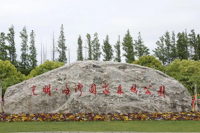 海湾国家森林公园赏梅攻略——游玩路线篇(图22) 海湾国家森林公园赏梅攻略——游玩路线篇