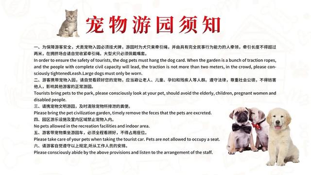 海湾国家森林公园赏梅攻略——游玩路线篇(图23) 海湾国家森林公园赏梅攻略——游玩路线篇