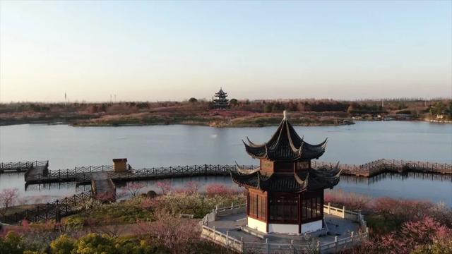 海湾国家森林公园赏梅攻略——游玩路线篇(图4) 海湾国家森林公园赏梅攻略——游玩路线篇