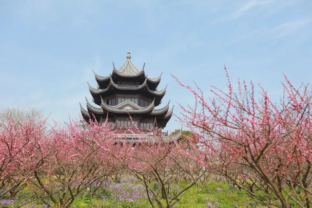 海湾国家森林公园赏梅攻略——游玩路线篇(图5) 海湾国家森林公园赏梅攻略——游玩路线篇