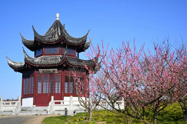 海湾国家森林公园赏梅攻略——游玩路线篇(图7) 海湾国家森林公园赏梅攻略——游玩路线篇