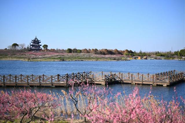 海湾国家森林公园赏梅攻略——游玩路线篇(图8) 海湾国家森林公园赏梅攻略——游玩路线篇