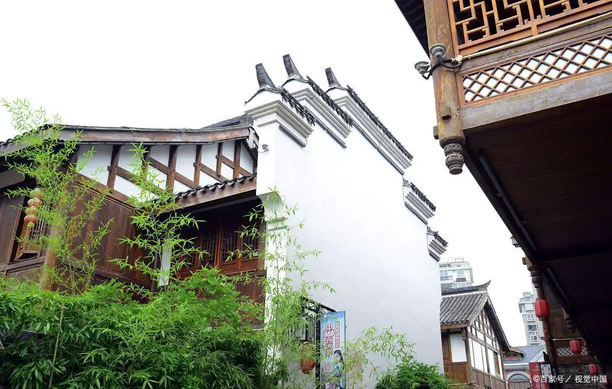 梅花洲小众玩法!避开人潮独享春光!(图3) 清晨探索梅花洲_梅花洲景区游玩攻略_避开人流梅花洲攻略