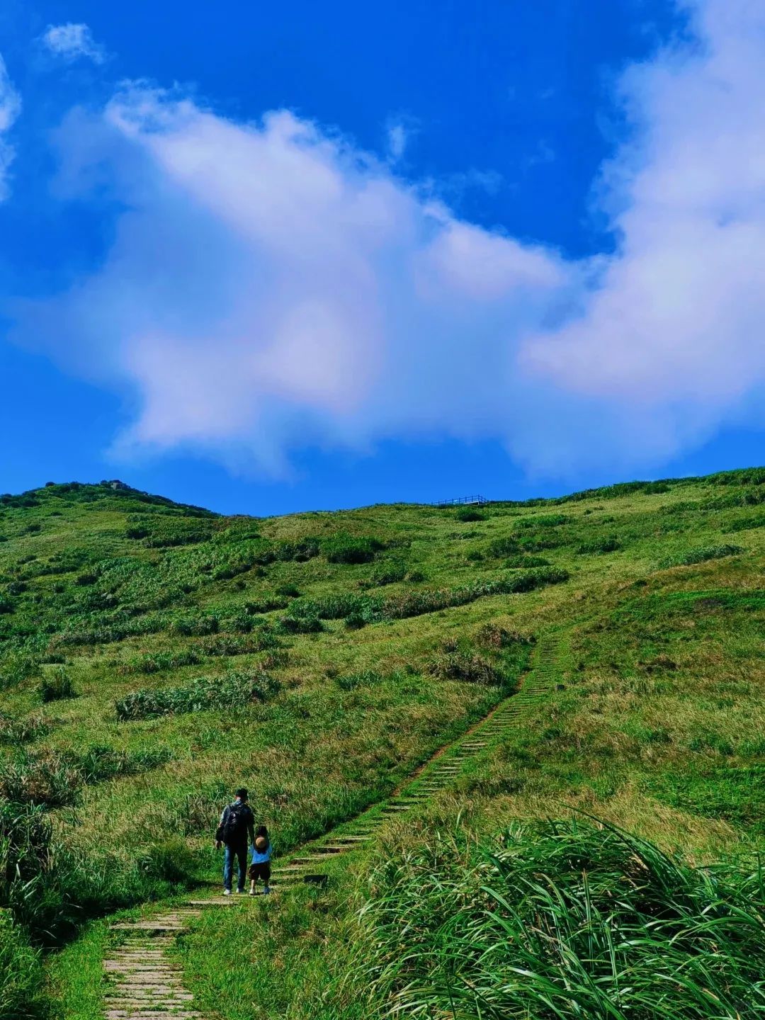 夏天还没走!宁德5个被上帝私藏的绝美海岛,赶紧去浪一浪~(图12) 嵛山岛最美海岛旅游攻略_福鼎台山岛旅游攻略_宁德市旅游景点大全