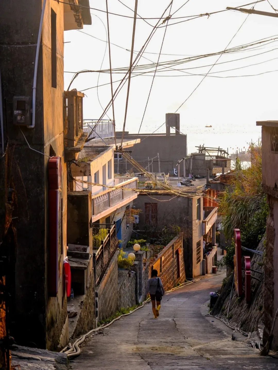 夏天还没走!宁德5个被上帝私藏的绝美海岛,赶紧去浪一浪~(图22) 福鼎台山岛旅游攻略_宁德市旅游景点大全_嵛山岛最美海岛旅游攻略