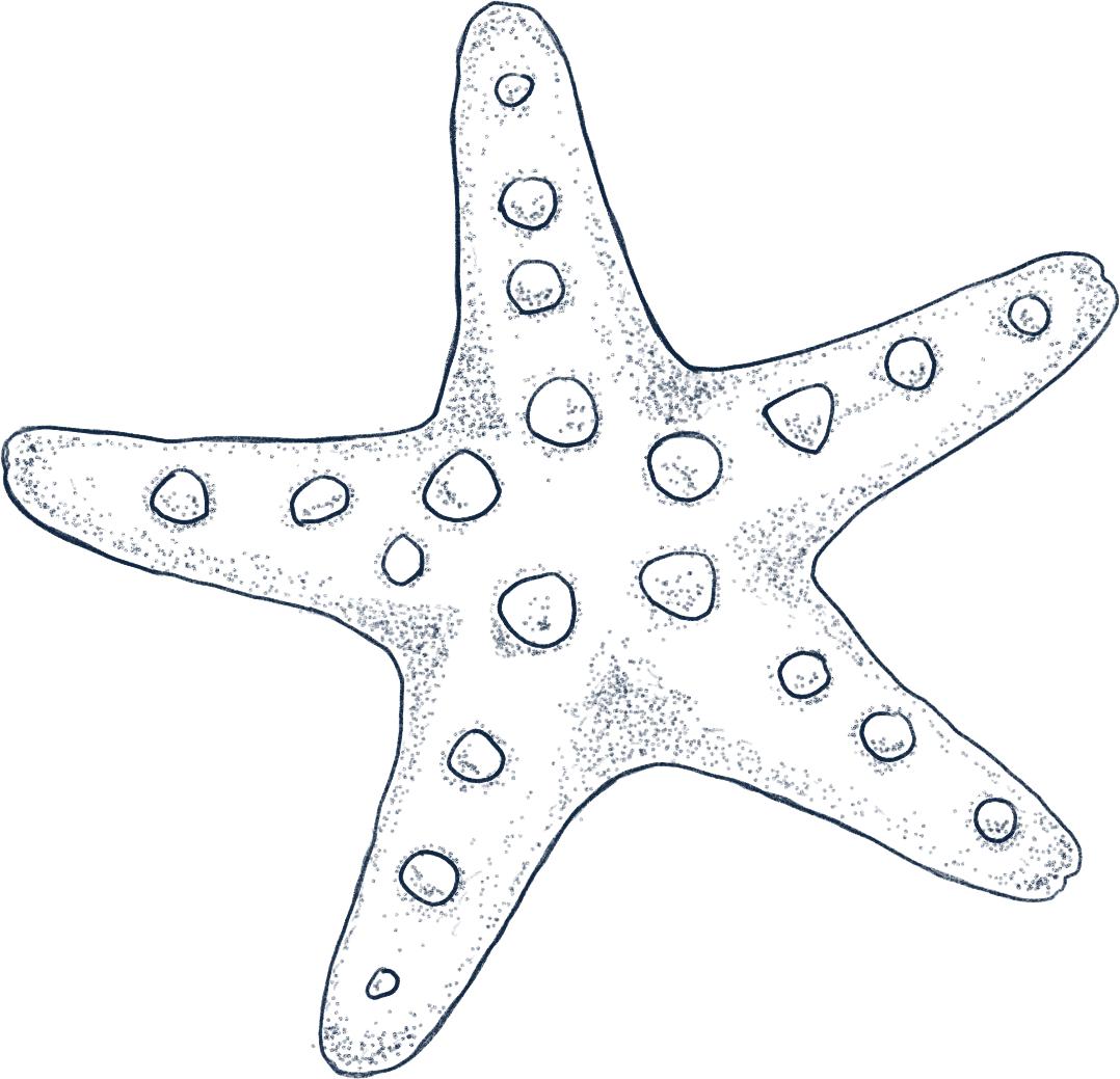 夏天还没走!宁德5个被上帝私藏的绝美海岛,赶紧去浪一浪~(图10) 嵛山岛最美海岛旅游攻略_福鼎台山岛旅游攻略_宁德市旅游景点大全