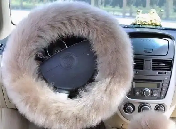 建议车主们:买新车,别只会装座套!学聪明人做法,提升爱车档次(图4) 提升爱车档次_新车必要的装饰 知乎_汽车内饰升级