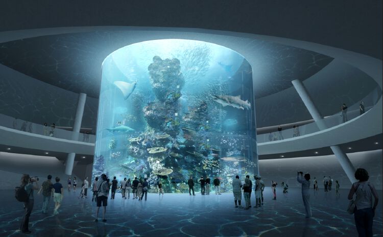 票价公布!小梅沙海洋世界“十一”开启试营业(图2) 小梅沙旅游中心_小梅沙海洋世界试营业时间_小梅沙海洋世界门票价格